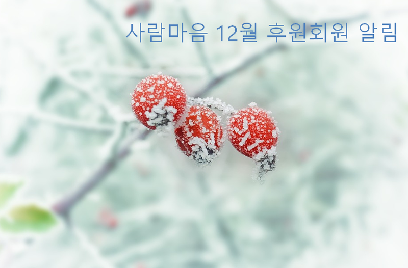 2016-01-12_14%3B03%3B06.PNG