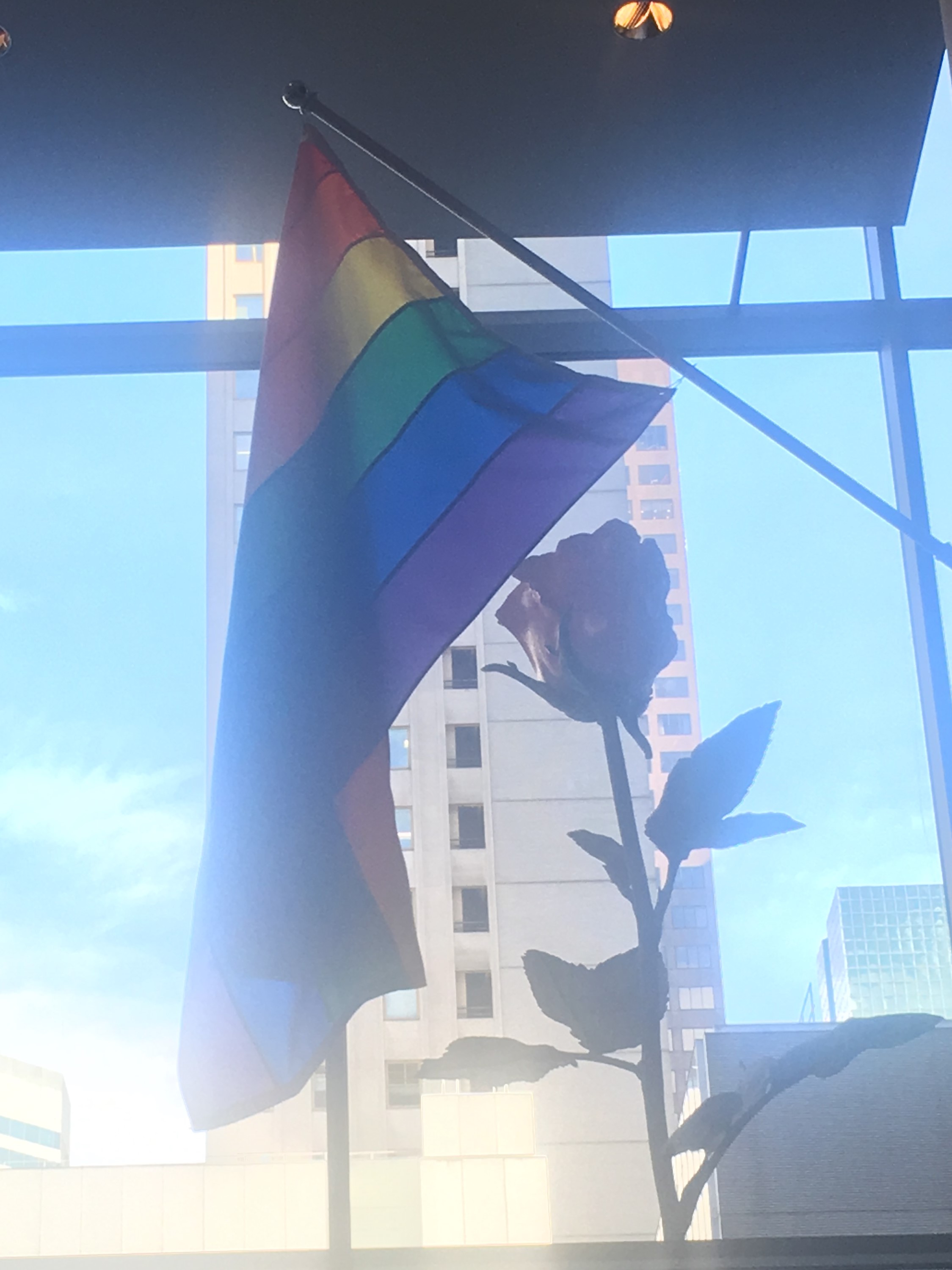 rainbow.jpeg